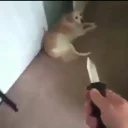 Sticker KыK pack - 5