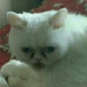 Sticker KыK pack - 9