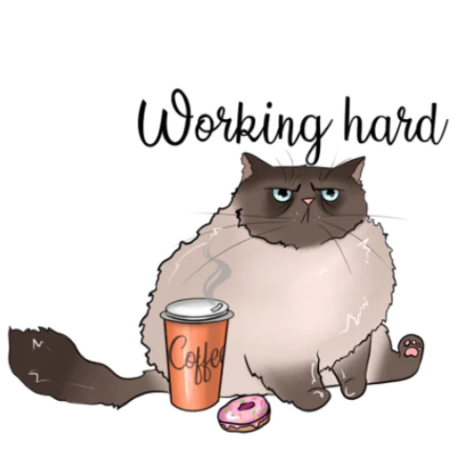 illustration cat clipart