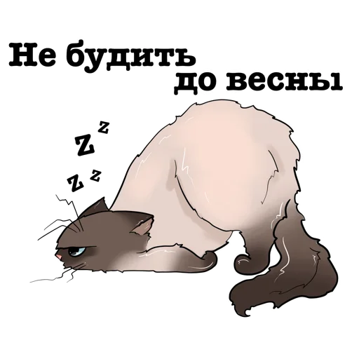 text cartoon graphics