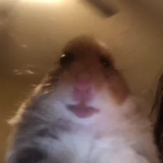 Стикер Живая легенда - 4