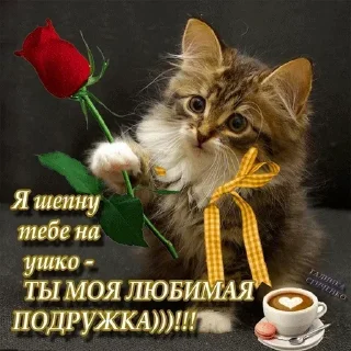 Sticker @VLAGA_STICK 👈 Там ВСЕ стикеры❤️ - 10