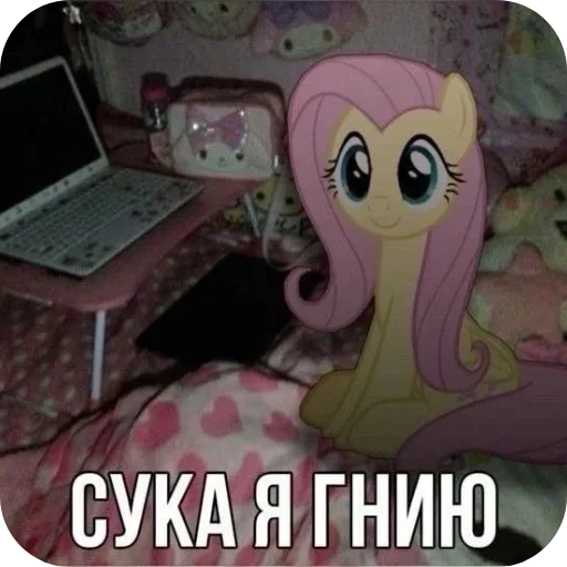 Больше стиков тут: @stikery4 - 