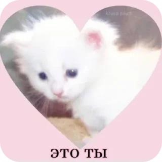 Sticker Больше стиков тут: @stikery4 - 2