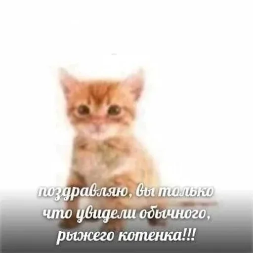 Стикер LnxFyhd_by_achestickbot - 1