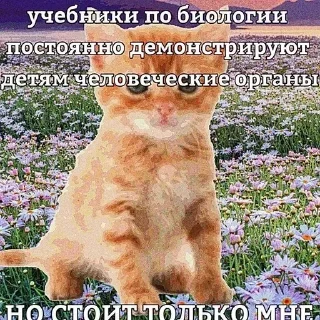 Стикер Больше стиков тут: @stikery4 - 3