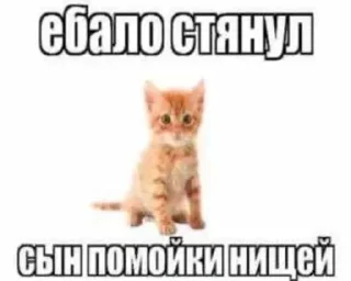 Стикер Больше стиков тут: @stikery4 - 10