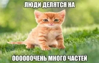 Стикер Больше стиков тут: @stikery4 - 6