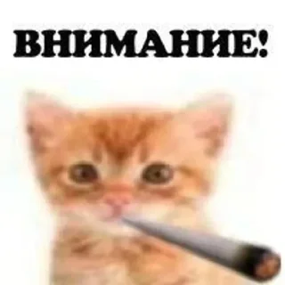 Стикер Больше стиков тут: @stikery4 - 2