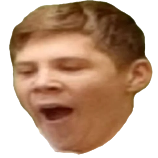 Sticker Localgovnomemes - 1