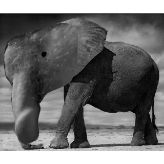 Sticker Local govno memes - 8