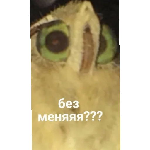 Sticker LohPidr1 - 1