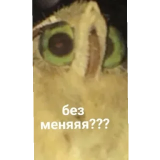 Sticker Лох пидр @svlpng - 4