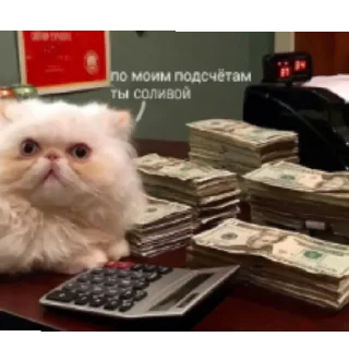 Sticker Лох пидр @svlpng - 9