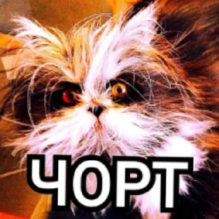 Sticker Лох пидр @svlpng - 0