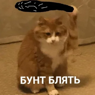 Sticker Лох пидр @svlpng - 11