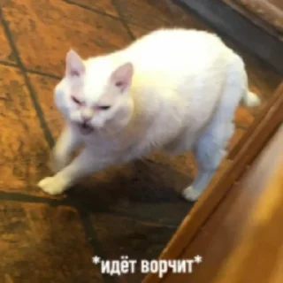 Sticker Лох пидр @svlpng - 5