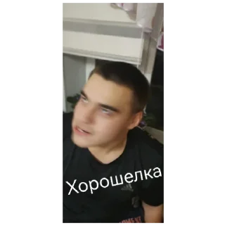 Стикер Лохушки - 2