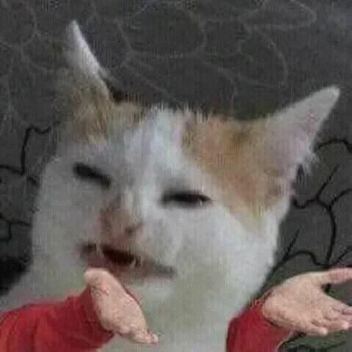 млекопитающее животное кошки малого и среднего размера