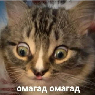 Стикер LoksDosi - 4