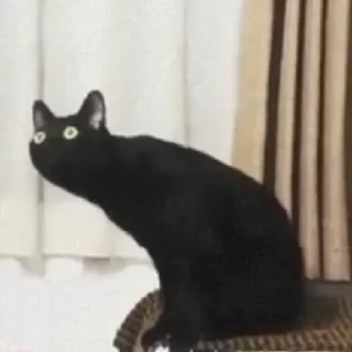 Стикер LoksDosi - 5