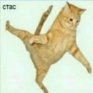 Стикер LoksDosi - 6