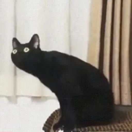 Sticker LoksDosi - 1