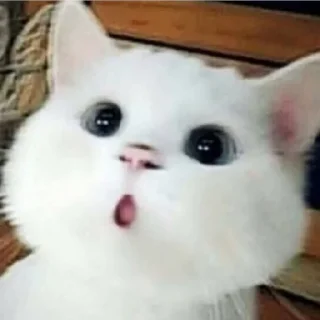 Стикер LoksDosi - 9