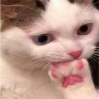 Стикер LoksDosi - 1