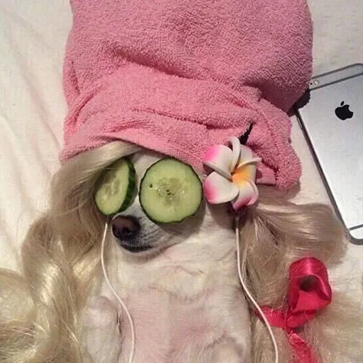 комнатный ноутбук ткань