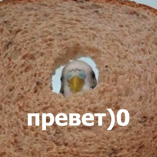 Sticker LolAnimals4 - 1