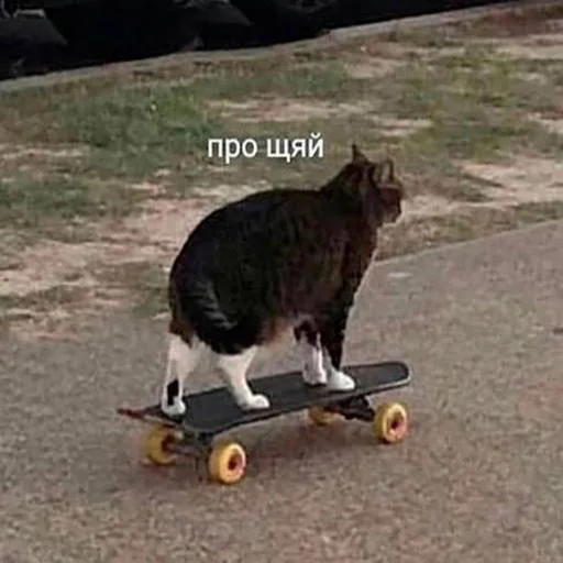 на открытом воздухе скейтборд земля