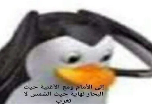 тупик клюв водная птица