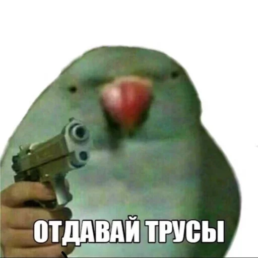 птица СМС животное