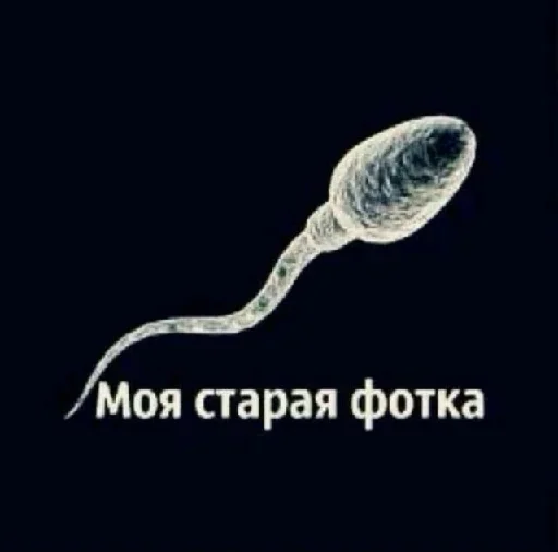 СМС искусство