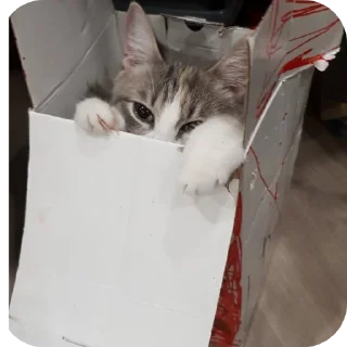 Стикер Хз как назвать - 6