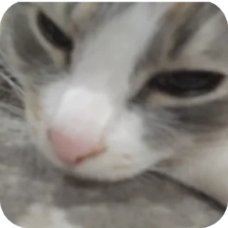 Стикер Хз как назвать - 1