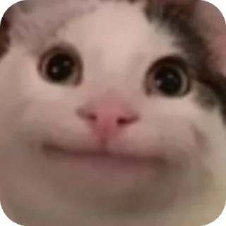 Sticker Лоле - 3