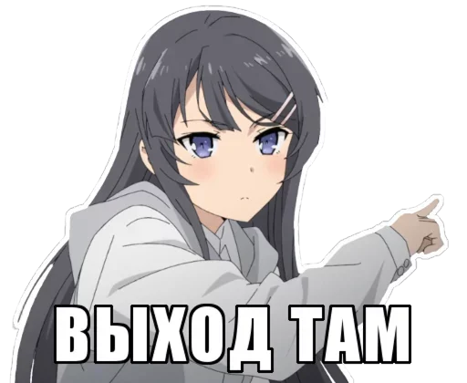 аниме мультфильм Художественная литература