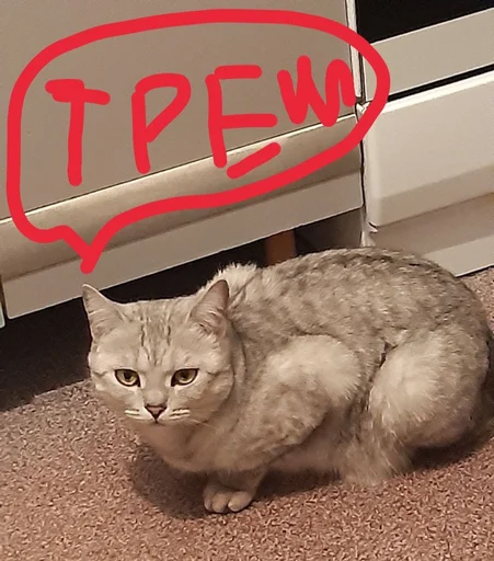 Sticker Лоля - 2