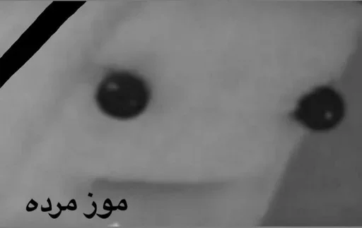 Sticker LollyGif_Moz - 1