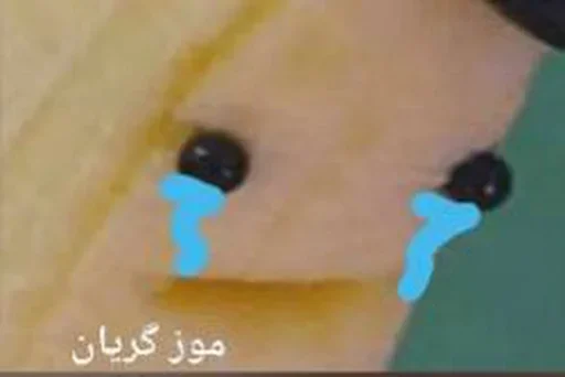 Sticker LollyGif_Moz - 1