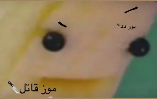 𝓑𝔂" @LollyGif|@LollySticker "🍌🪤 - 