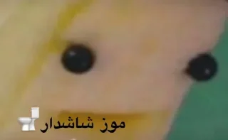 Sticker 𝓑𝔂" @LollyGif|@LollySticker "🍌🪤 - 7