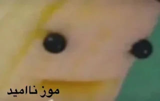 Sticker 𝓑𝔂" @LollyGif|@LollySticker "🍌🪤 - 4