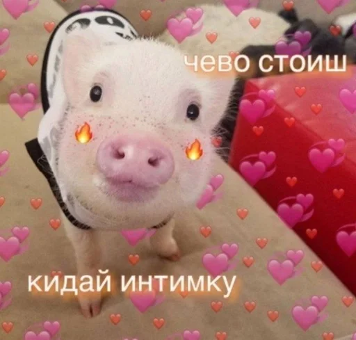 Sticker Love :: @fStikBot - 8