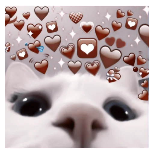 пузырь лицо