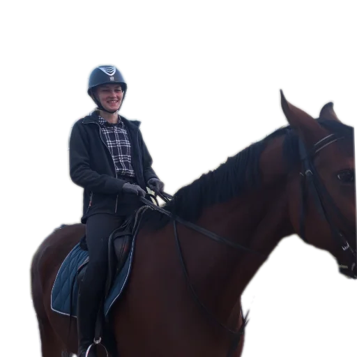 Sticker Loshadki287 - 1