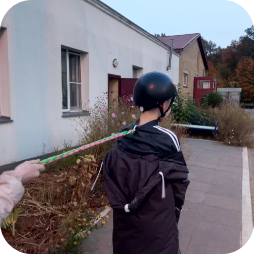 Стикер Loshadki287 - 1