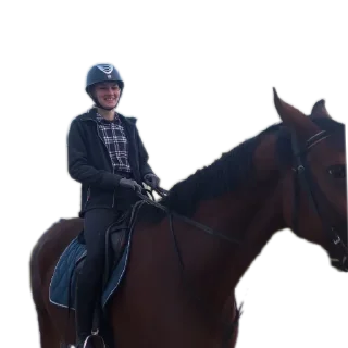 Sticker Лошадки - 9